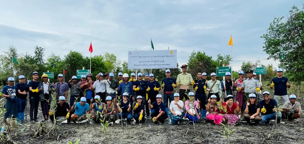 Mangroves Reforestation Project